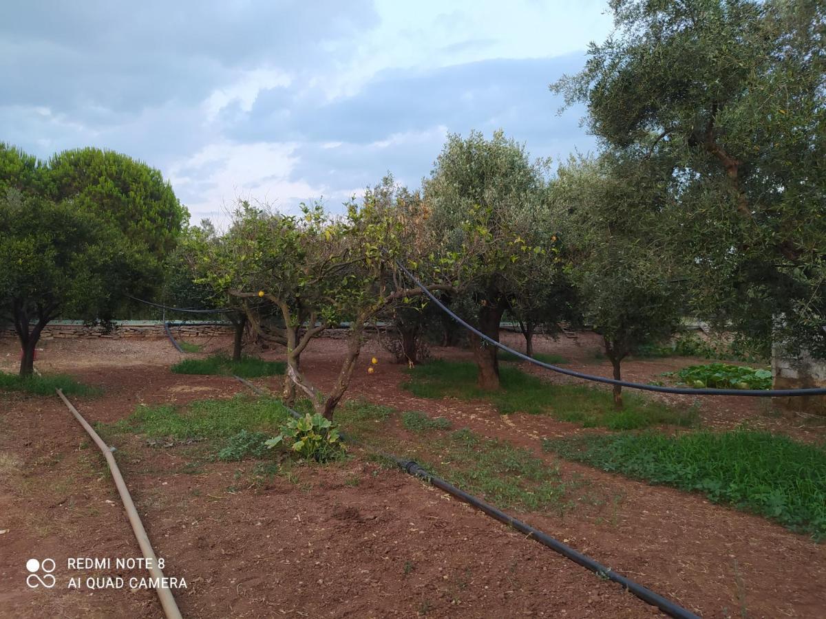 Ozena Countryside Apartment Vromonerion Екстер'єр фото