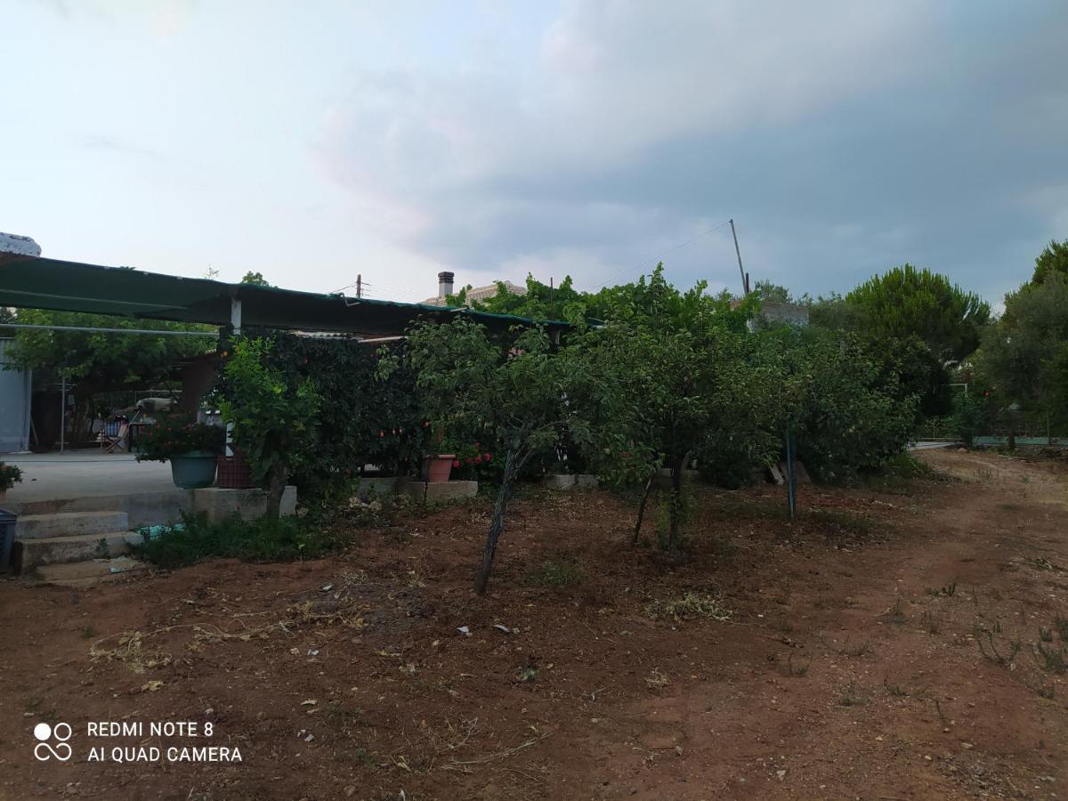 Ozena Countryside Apartment Vromonerion Екстер'єр фото